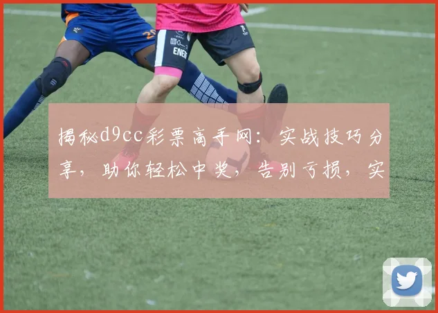 揭秘d9cc彩票高手网：实战技巧分享，助你轻松中奖，告别亏损，实现财富自由