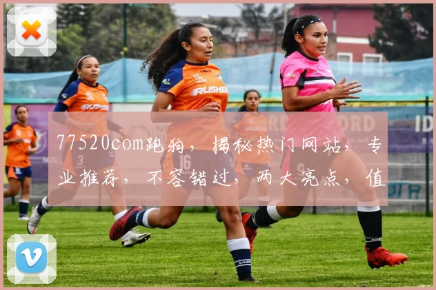 77520com跑狗，揭秘热门网站，专业推荐，不容错过，两大亮点，值得一看