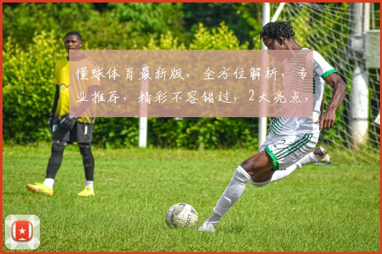 懂球体育最新版，全方位解析，专业推荐，精彩不容错过，2大亮点，必看
