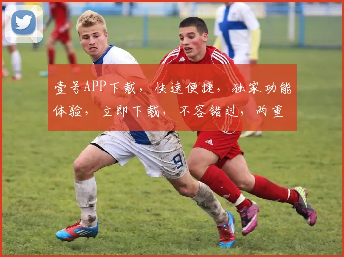 壹号APP下载，快速便捷，独家功能体验，立即下载，不容错过，两重惊喜